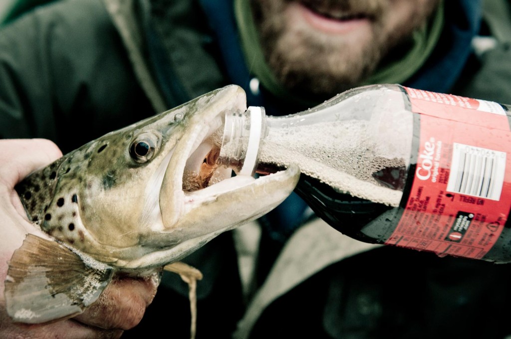 pêche a la mouche , fly fishing, le mouching, coca cola, truite