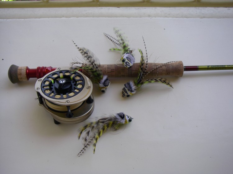 Sage Bass 2 II Fly fishing Jacques Bordenave Peche Mouche Hair Frog