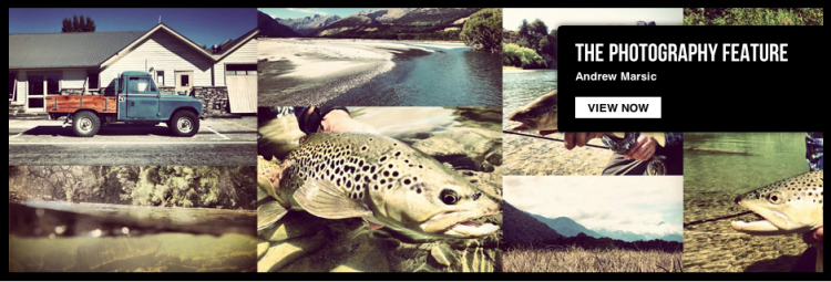 This is Fly Andrew Marsik