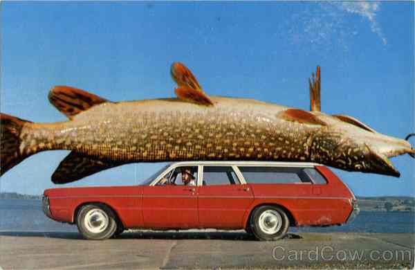 Fish-Car.jpg