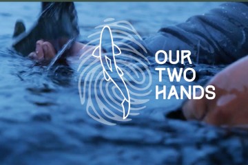 2hands