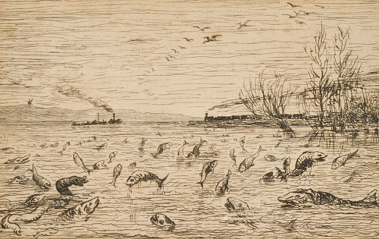 Le mouching, fly fishing, pêchemiraculeuse