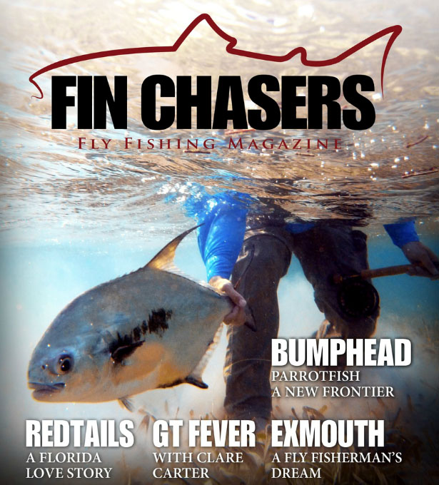 Fin Chaser