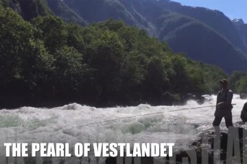 Vestlandet