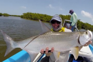 Tarpon