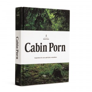 cabinporn1
