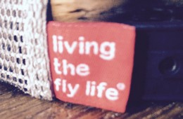 living-the-fly-life