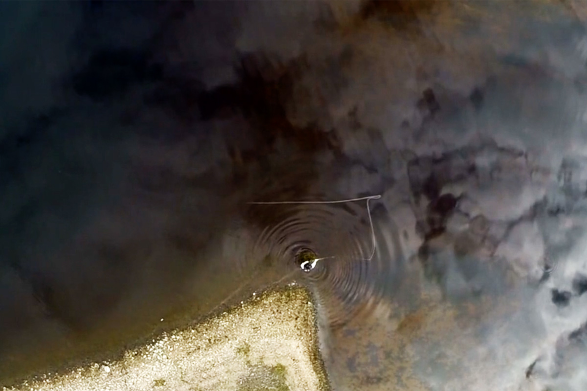 Single Hand Spey Cast Le Mouching