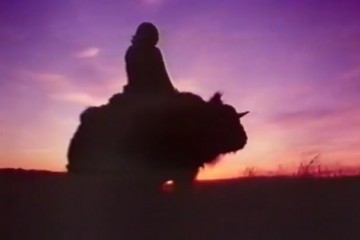 buffalo
