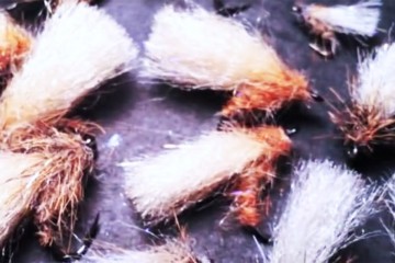 caddis