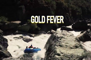 gold-fever