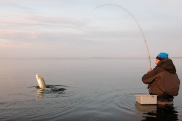 baltic-sea