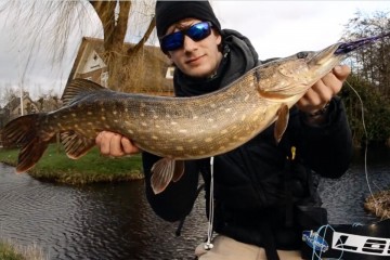 pike