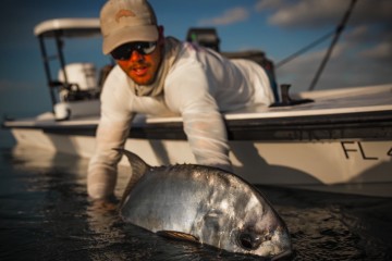 palometa