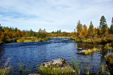 Glomma