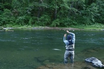 steelhead