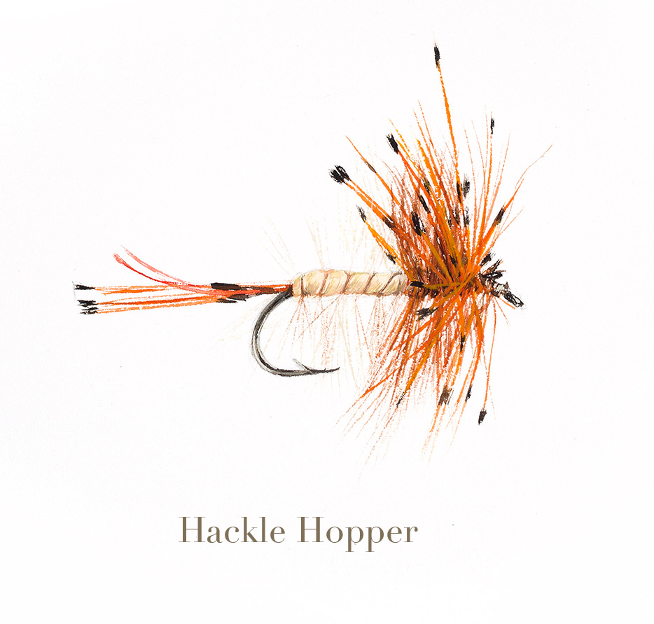 hackle-hopper