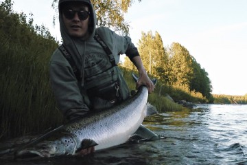salmon