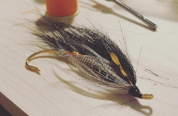 salmon-fly