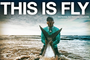 tif-cover