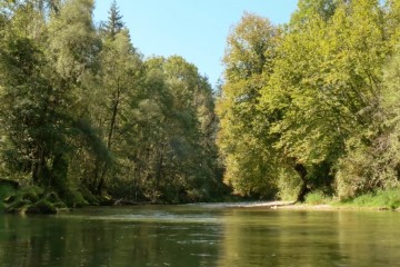 bavaria2