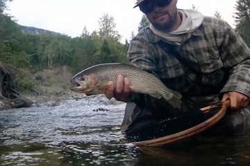fernie