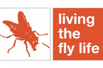 living-fly-life