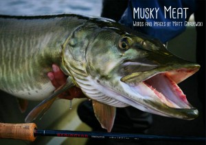musky