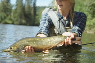 orvis
