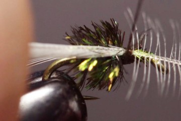 tinyfly