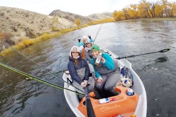 wsteelhead