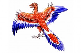 jurassic-bird