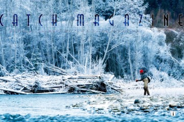 catchcover