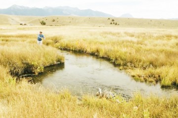 montana