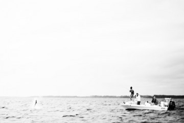 tarpon