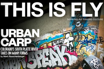 tifcover