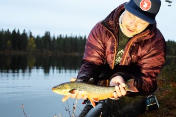 arcticchar