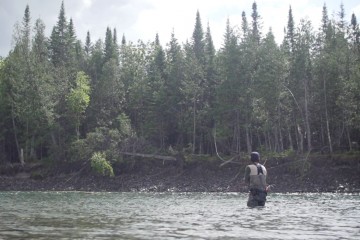 gaspesie