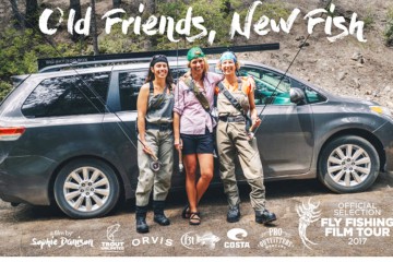old-freinds-new-fish