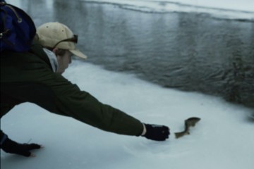 cold