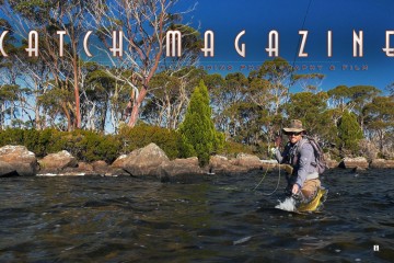 CATCH-COVER