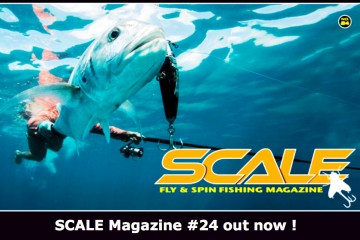 scale24