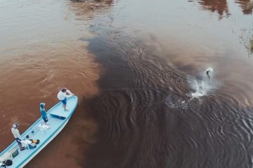 atlanticus