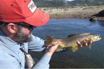 gonzalo