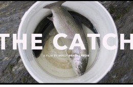 thecatch