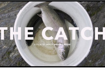 thecatch