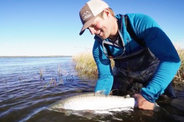 trout