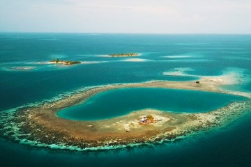 birdisland