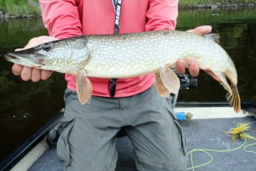 urban-fishing