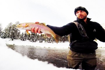 snoxfish